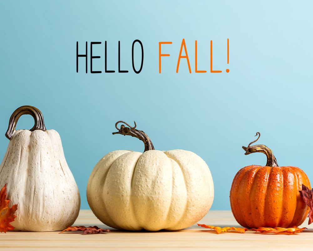 Hello Fall