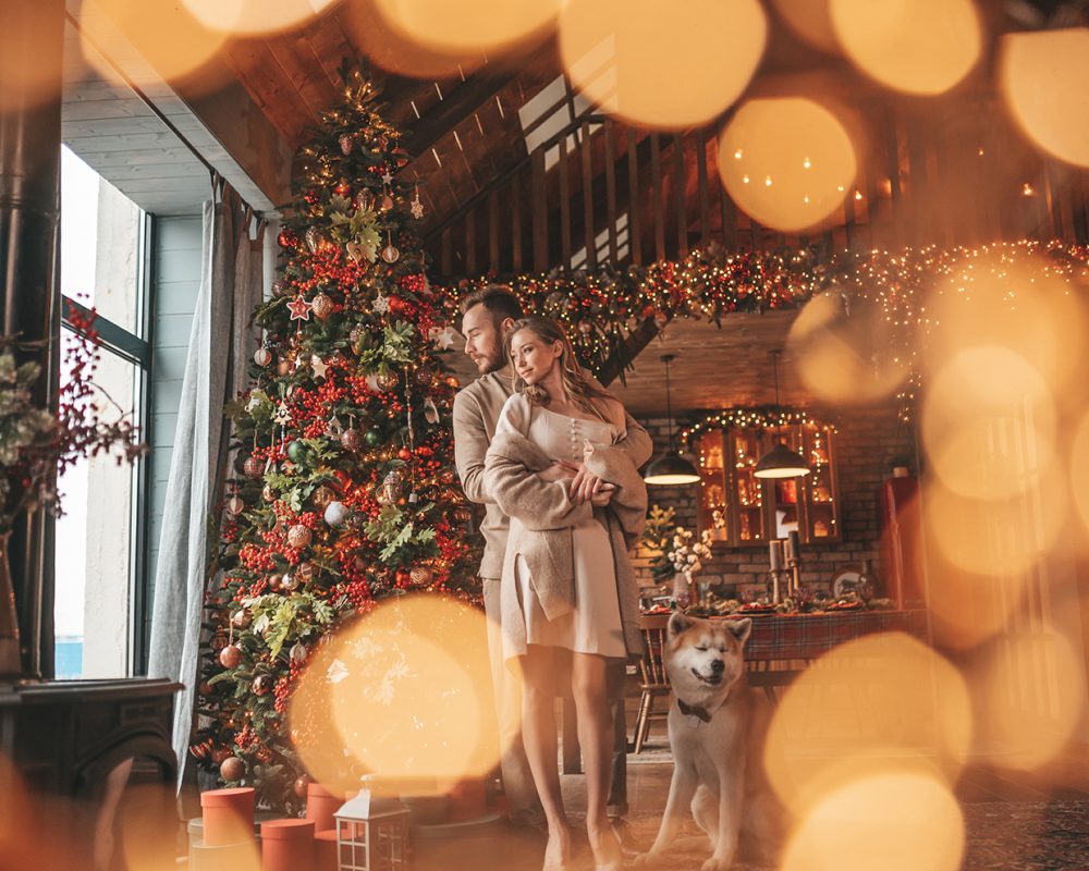 A couple snuggling in a cabin winter wedding reception