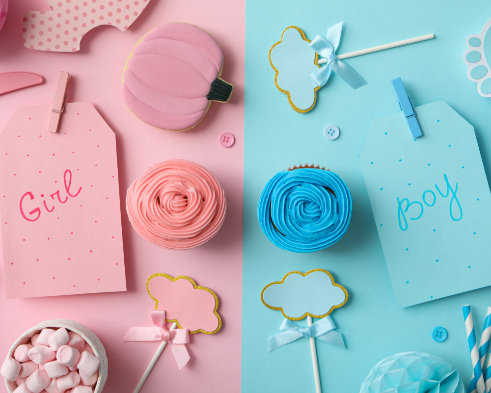 Blue and Pink Baby Shower